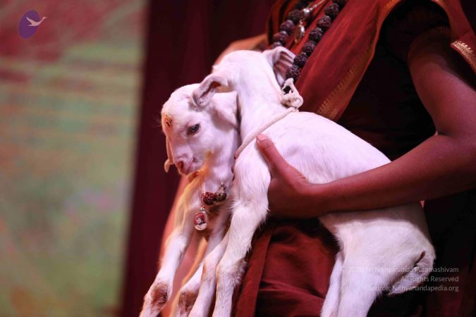 20180506 Photo 1089 1H9 lU1G3DhBTede7XjR74qreJDB2gGmv.JPG