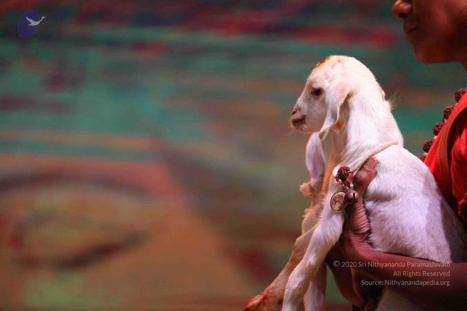 20180506 Photo 1090 11TY-joqEK6VxGBr1WXHlrB-i3yBy1nut.JPG