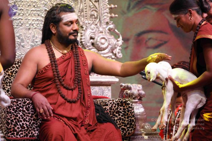 20180506 Photo 1093 1IKc5HHc60ORRK7qpP1r5-lGHux uvW5m.JPG