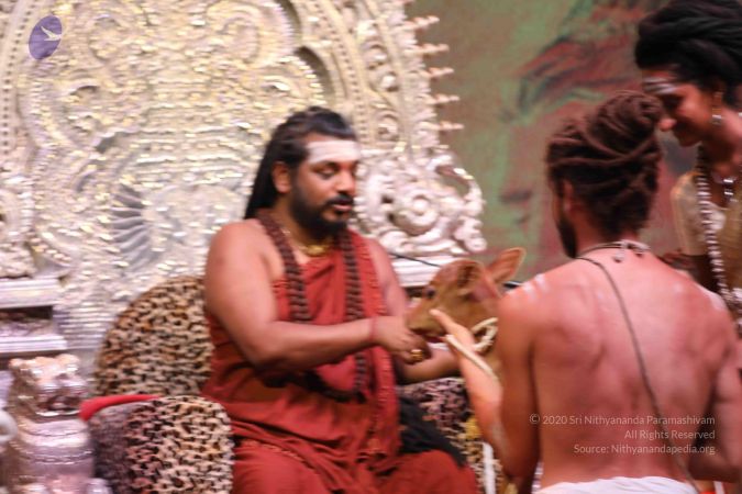 20180506 Photo 1099 18BOG5BvPzMqstc4GcheSNUZfV5eW9Mz4.JPG