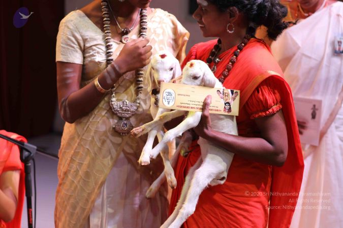 20180506 Photo 1126 1jzsjoDbSFlf9G3aWXeokDH3wkh3Pqs8p.JPG