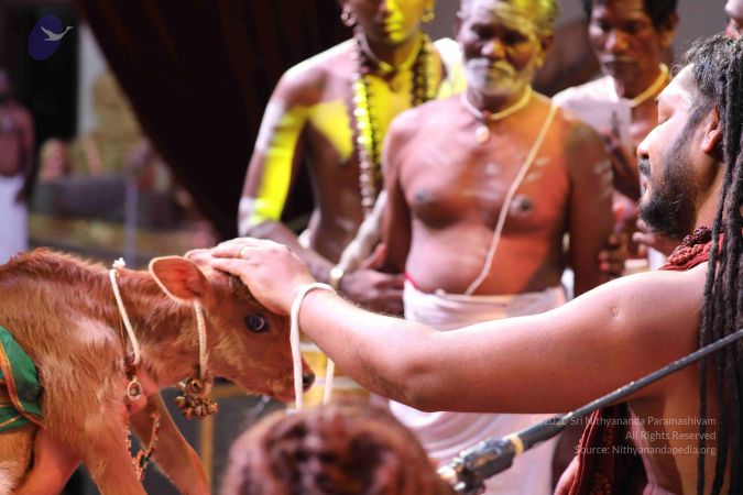 20180506 Photo 1148 1ZFrbdpfLHbb m 8TGEgGuLc wVXZwTE .JPG