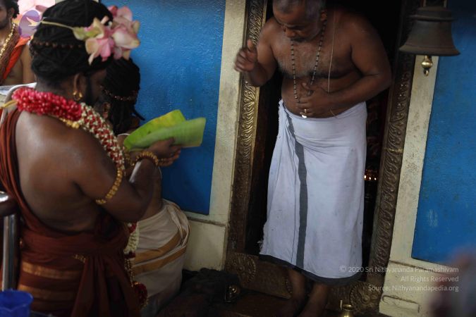 20180508 Photo 1250 1Fbz1gZqg-skCIRHpHdLWDuiKolWWdwXd.JPG