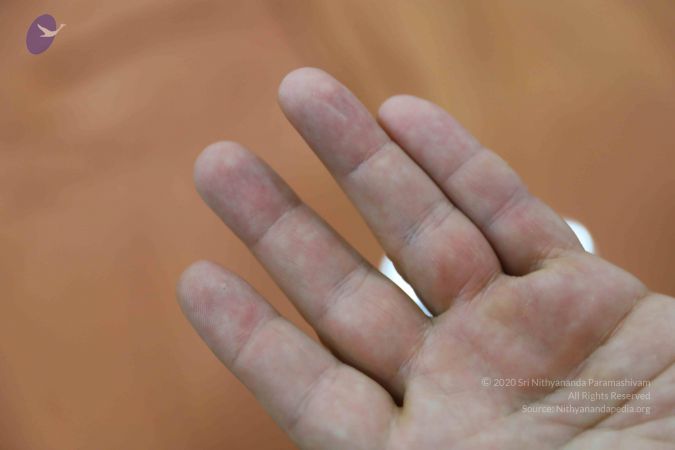 20180517 Photo 1109 1vy1RT3wuSqnPK7nnNYgbSfenBLOf VtP.JPG