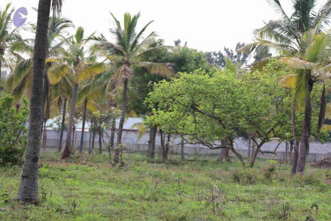 20180522 Photo 1034 1iT2WyBhkdZEsKgFFSs7SfaxaaVlNk0 J.JPG