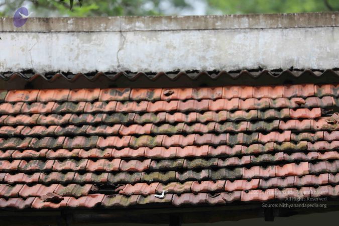 20180522 Photo 1045 1IoQaYssrphL58c0Frl8z-TPzmbq2iNXY.JPG