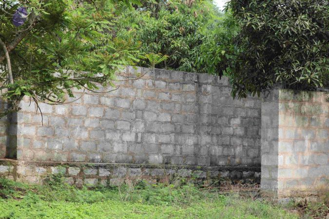 20180522 Photo 1064 1XtGKUJGFGiqv4S-0Y7nuM1YK6qfz1w7i.JPG