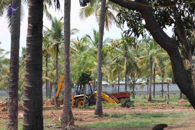 20180524 Photo 1342 1GeYj194nOCsnlMHTBn8u6ZdOxoYgXd4c.JPG