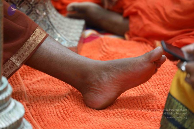 20180524 Photo 1455 1hbG4aJc4JVDj-7XyqnzwaaIlZFc1gNjp.JPG