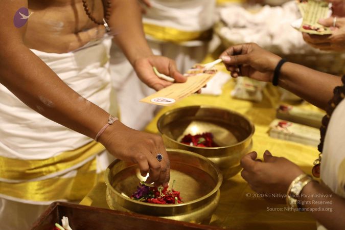 20180524 Photo 2348 1Xr4KX3QhR3zYWreq84CZ6oRX7XPeOiEJ.JPG