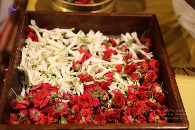 20180524 Photo 2352 1ERcyCzq6xiDZbpsRYbuTg0I5DEclAYB2.JPG