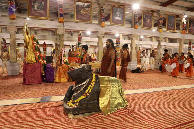 20180530 Photo 1040 1eapLaN-pMbdwLkAuqHJDMTX4ytFtEW9r.JPG