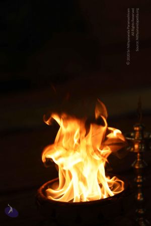 20180531 Photo 1180 1qIQnj8 eC0Z5Y7ZZJO Ai338Bb4Oy7kq.JPG