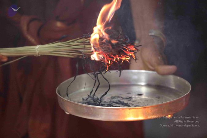 20180604 Photo 1037 1iutGjLJruIJoh4i44SKAmKZCQUxvvOmU.JPG