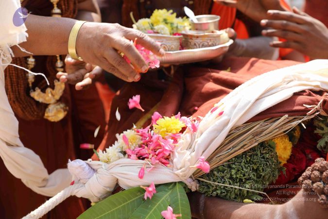 20181222 Photo 1154 1XMQAn543qsZ2uUxHNXeIH8VGEXYUWpm0.JPG