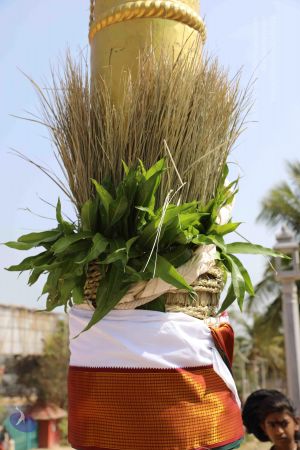 20181222 Photo 1210 1h66yrH8Sj3SUtttieveVsnhaYltBgYai.JPG