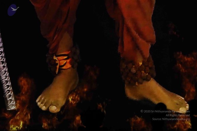 20190101 Photo 1090 1Sdlp9ZZ1LxznwNYVv8bxhsBmU8j5sYDp.JPG