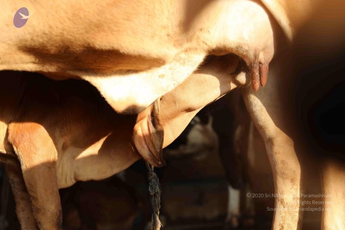 20190116 Photo 1028 1Fx6gU8NjxWstsWhJx0QgsABbLgR1V1c7.JPG