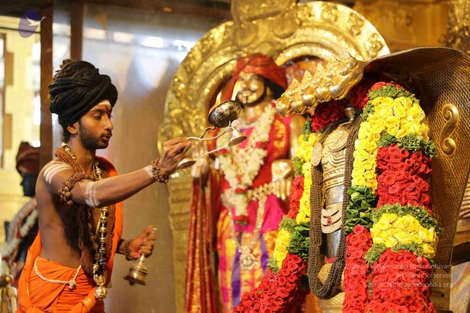 20190407 Photo 1036 1hqB9m4jdB5SJL7Lu31KyP2cAjXUAZEvS.JPG