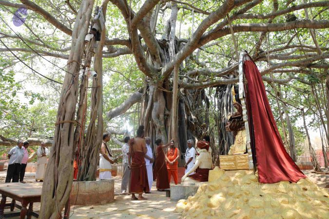 20190407 Photo 1068 14naw3qcArwPtTDTHzMIvutgTQsfkiXVM.JPG