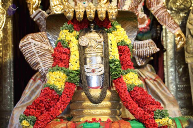 20190407 Photo 1081 1D4TSmpP6TobjQzryZCdqDTlh4RlX86ts.JPG