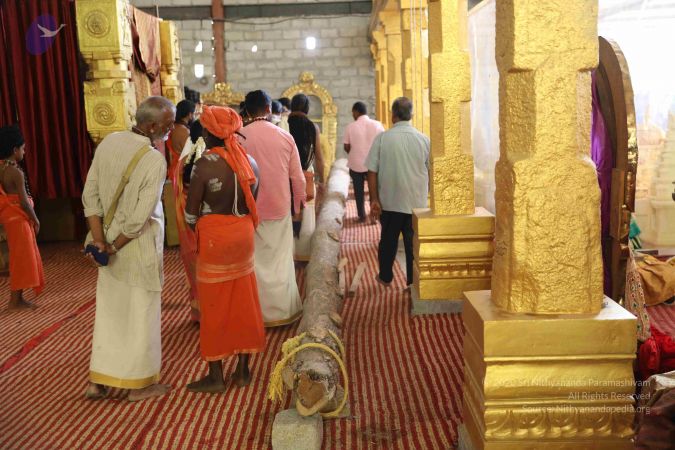 20190407 Photo 1098 1QseUtXMRW88PTJKWIISF5qCc2vg5Hgma.JPG