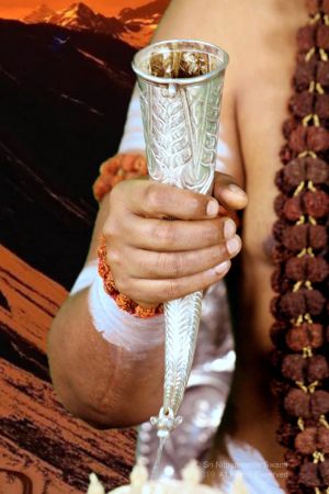 20190913 Photo 1006 1LZpXcAD-RdcpFH8fR e04swT1PMhwk1E.JPG