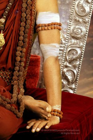 20190919 Photo 1009 1X5wWGgzeQr62R5cOnQUTf02YCFuef3I2.JPG