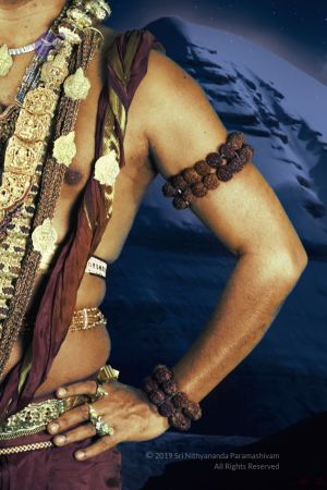 20191028 Photo 1056 1-tEpoYDdi41wvFmDlJMf6eZfwwDLRyJE.JPG