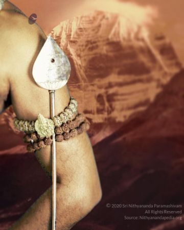 20191101 Photo 1005 1-AVK iRPG1JlTuqetIif5-MMDchLPsrQ.JPG