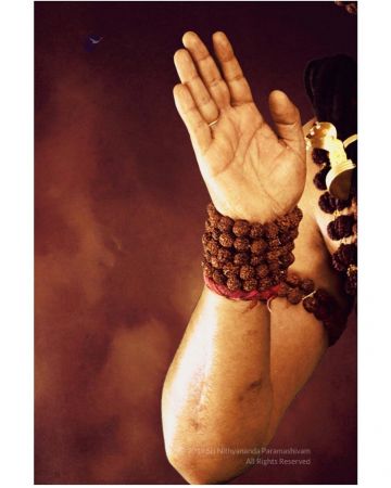 20191110 Photo 1011 1Oz13MBDWvHshxnxQrXr29 45ywLB-WZb.JPG