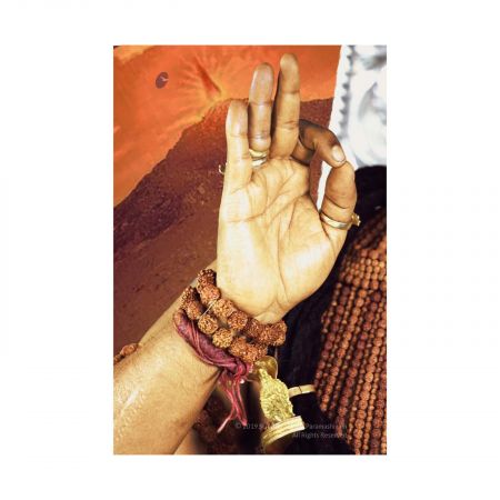 20191113 Photo 1014 1zKmPj5iKQCGSzH6VSntnZM6lEw6726LZ.JPG