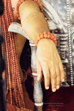 20191124 Photo 1002 16SFljeynbYhd2AgccBA64cHLdPUYaDIA.JPG