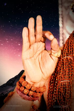 20191209 Photo 1040 1Puk4LU0b-v9NWIIZDIyVoIIOcZqx-rC1.JPG