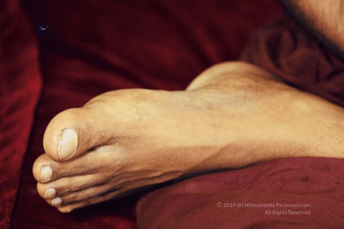 20191213 Photo 1007 1pizllwBw6PgVi5SsF9XvKhknP0I-RM5N.JPG