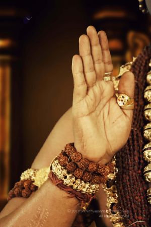 20191223 Photo 1019 1 7OSV56rKBGcIYmagLm 56Jk5nut5TAm.JPG