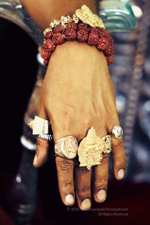 20191225 Photo 1020 1LYVbGLNt7qtSdnvyr82aMzzvPebi35qJ.JPG