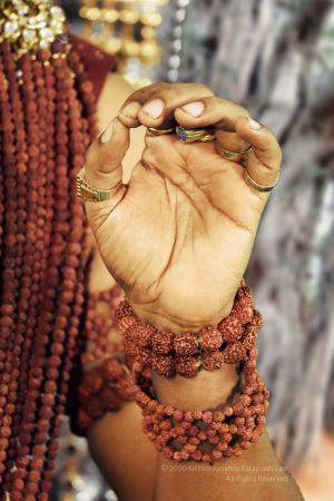 20200102 Photo 1014 1HNUueLlhag6vYGXx4Ii1egbVpjBLQFOz.JPG