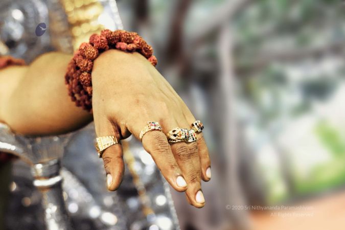 20200102 Photo 20 1b5ESV3gpwsLyLeIREymM-J4KNcIp6fG7.jpg