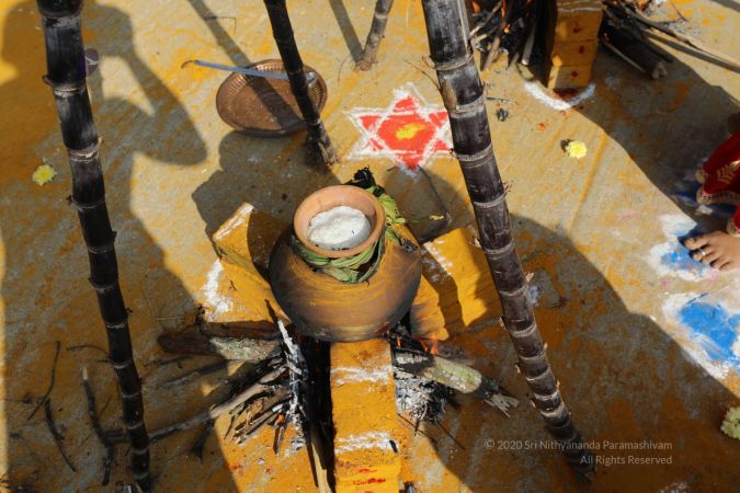 20200115 Photo 15 1eiLucIc3SKZr4gWncae5xqPrn91zjAif.jpg