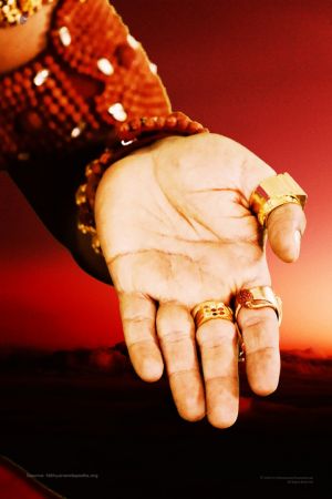 20200116 Photo 1013 1Q-Sh6MNnIq2FITT-G-6OChcaAw0D-BKN.JPG