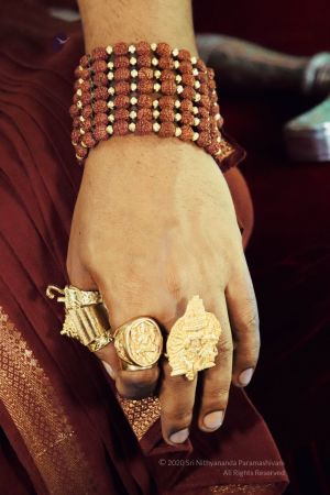 20200123 Photo 1014 17tsWPHoSFGgrZJtY0pF9PUfvl8torhff.JPG