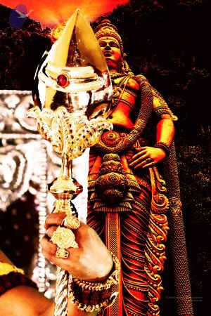 20200208 Photo 17 1Ty6OeJjIikKGfZpCsr6apxMs2UODf84p.jpg