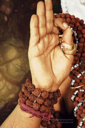 20200211 Photo 1007 1cw5xyS SSM0oZq7aFv93Th2Dhsdl~W5.JPG