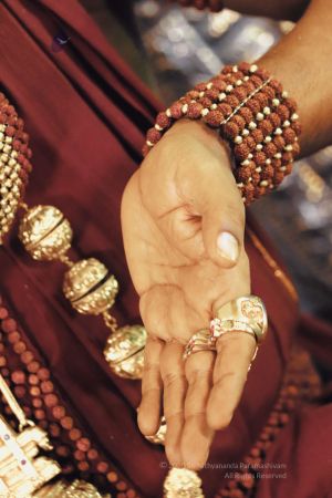 20200217 Photo 1026 1GTdzM-R5mKU7bd9ybv7VY4d0mv1ZxH9i.JPG