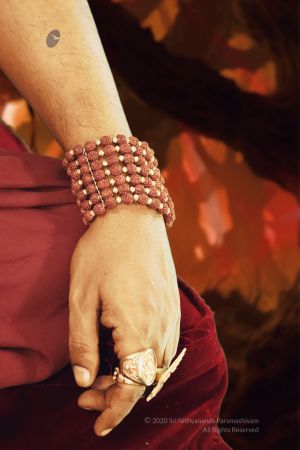 20200217 Photo 1029 1S3RlPTnyngDWqh3DbFLQjqlxjUXPeVPB.JPG