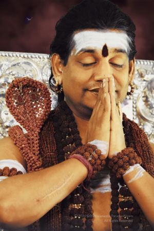 20200222 Photo 1012 1z5LjgKOyTBpSFcLnjUr6EfGyI6aUOMRF.JPG