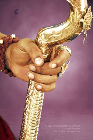 20200304 Photo 1019 1NqHiKXWsLkvJj8lRIfegvxEqK~7wbay.JPG