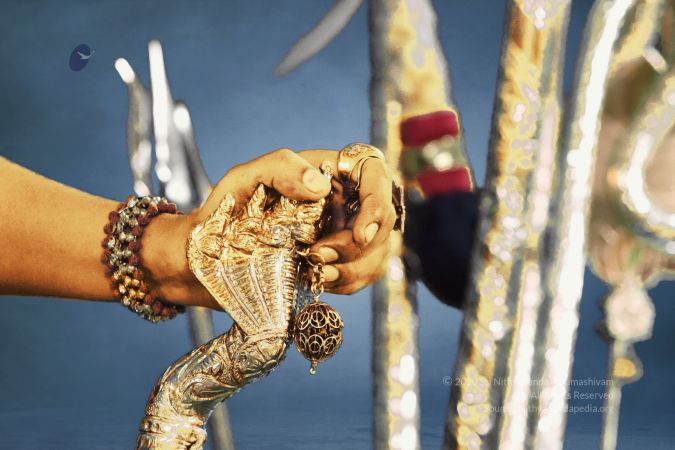 20200304 Photo 1026 1wfaZPcJRH-JsZC7zIPwCeR41Tk7XNaNz.JPG