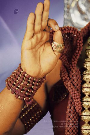 20200305 Photo 1015 1F4SN0jEsPNSyyj5nUOcriCfxLjxUy4Xi.JPG